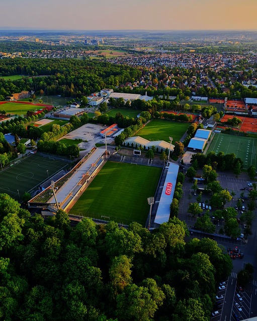 魔术的外线 魔术的外线