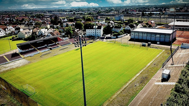 上的成效 上的成效