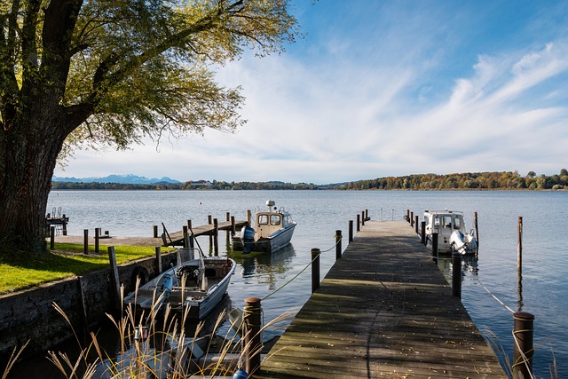 令人惊叹的 令人惊叹的